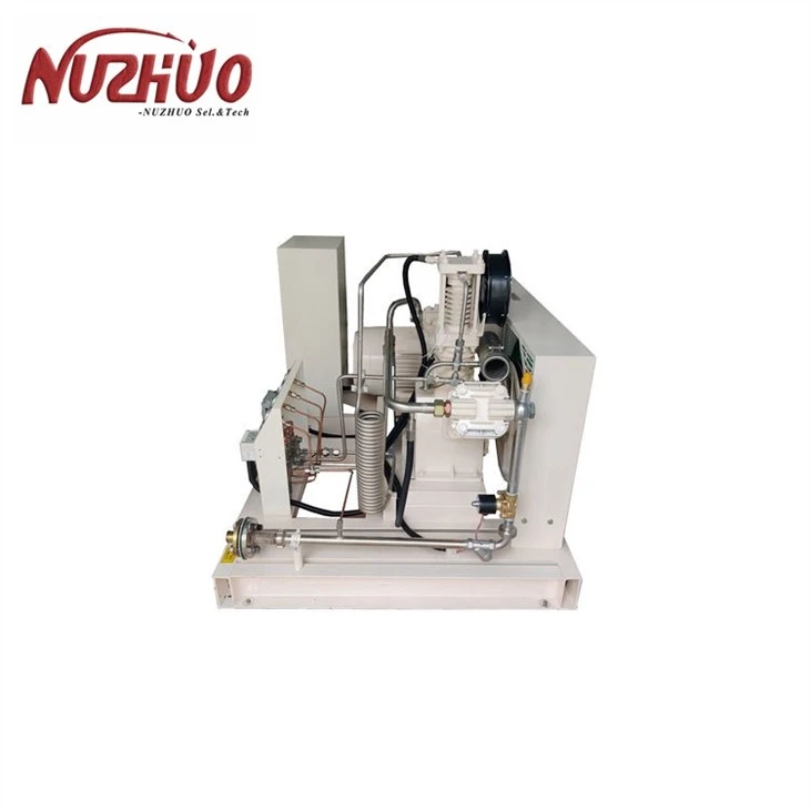 All Oil Free Air Compressor Manufacturers